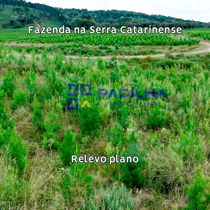 Fazenda, 237 hectares - Foto 8