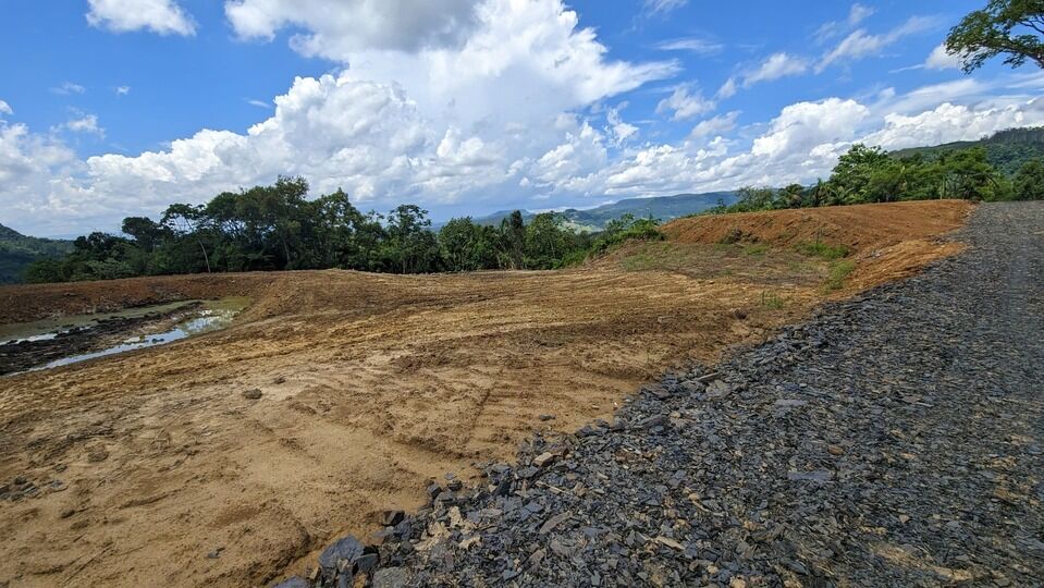 Terreno, 2 hectares - Foto 7