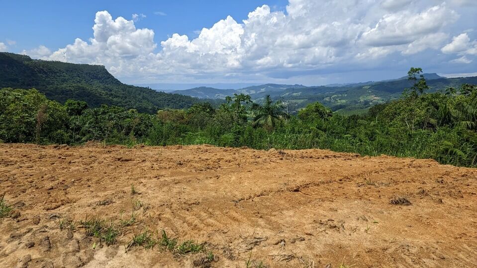 Terreno, 2 hectares - Foto 11