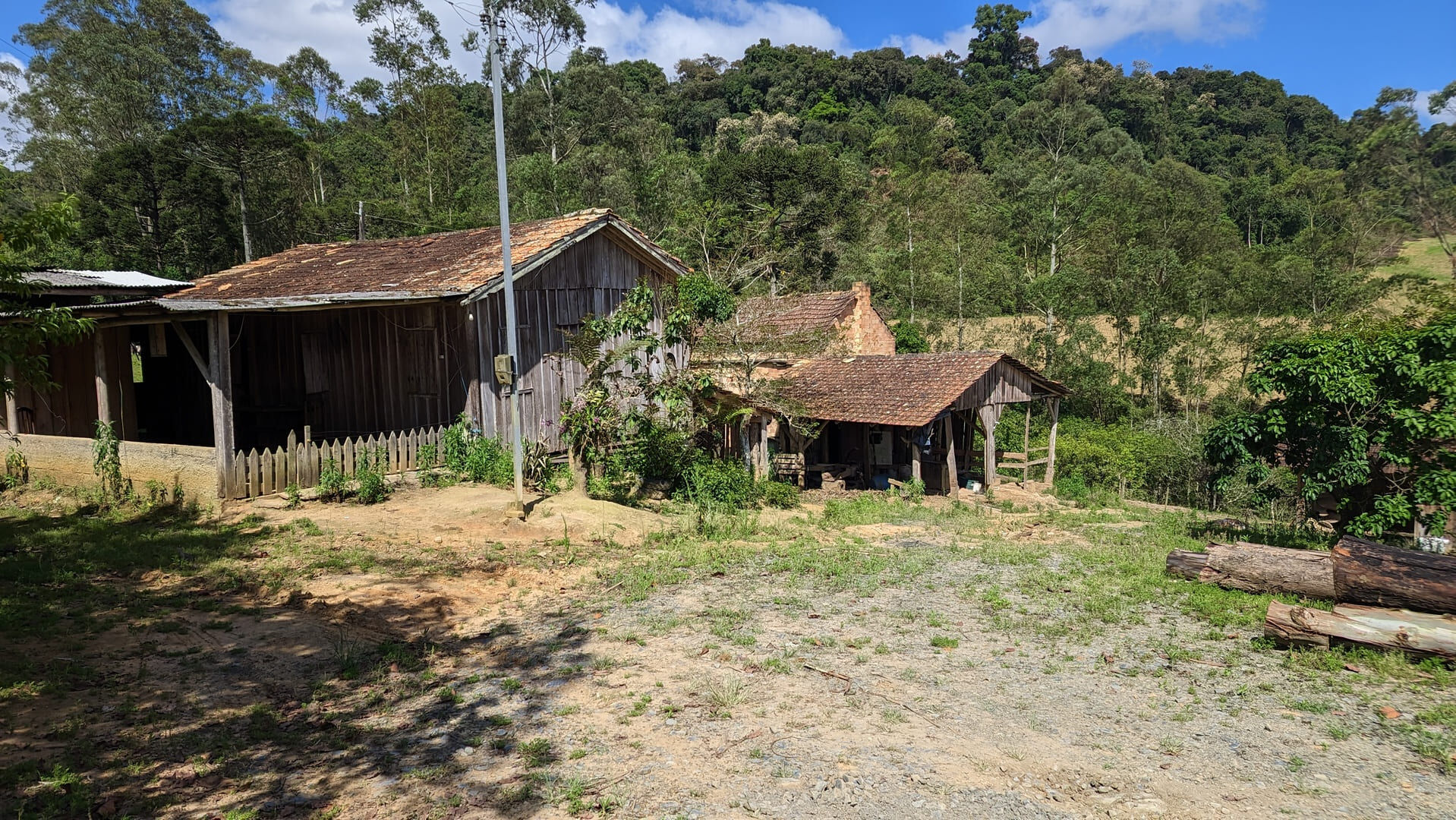 Sítio, 5 hectares - Foto 5