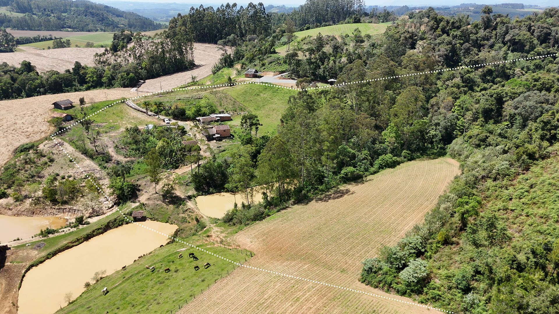 Sítio, 5 hectares - Foto 3