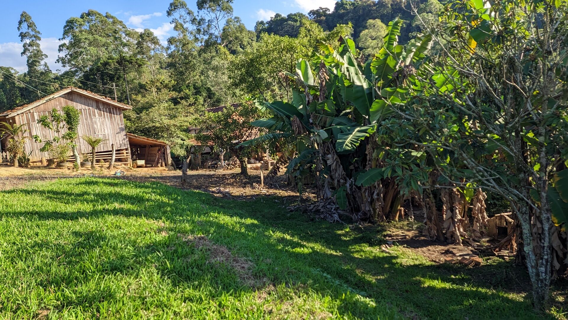 Sítio à venda, 49000m² - Foto 7
