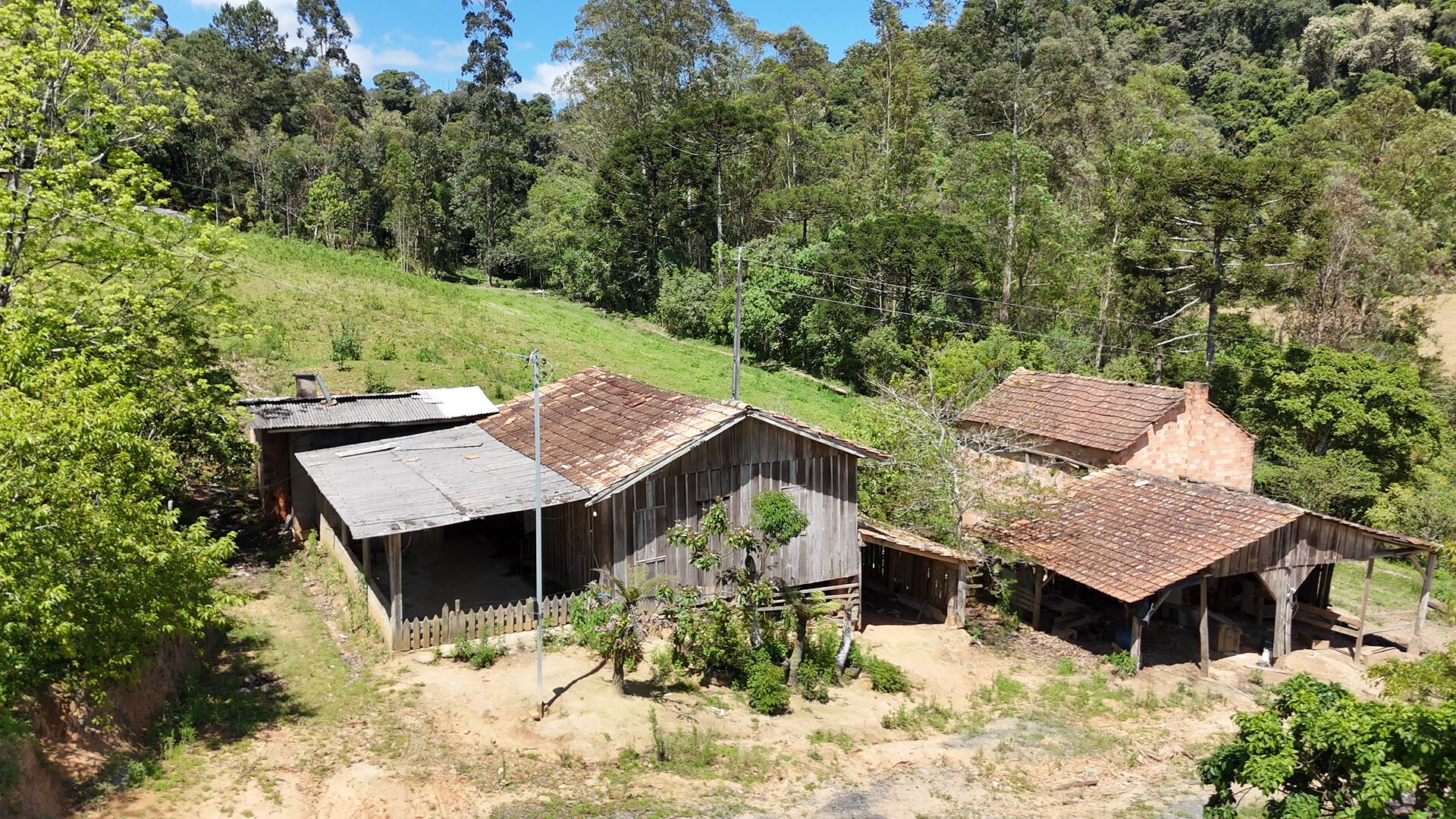 Sítio, 5 hectares - Foto 4