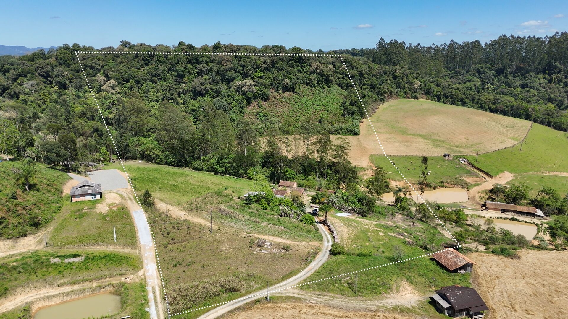 Sítio, 5 hectares - Foto 1