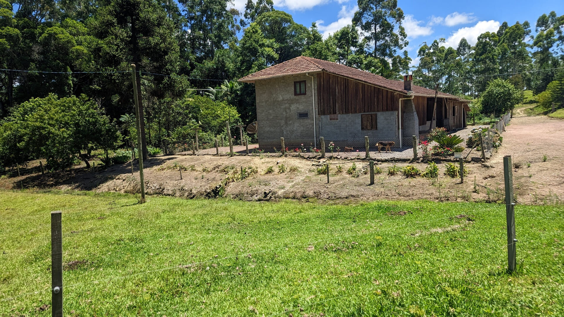 Sítio, 2 quartos, 30 hectares - Foto 16