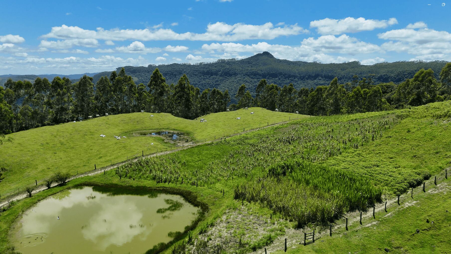 Sítio, 2 quartos, 30 hectares - Foto 5