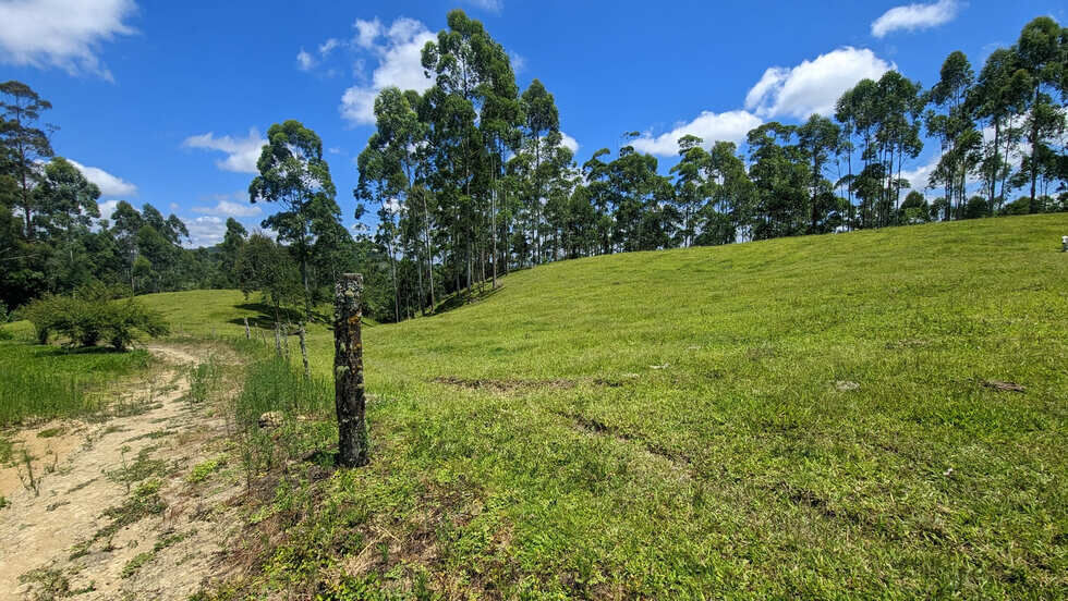 Sítio, 2 quartos, 30 hectares - Foto 15