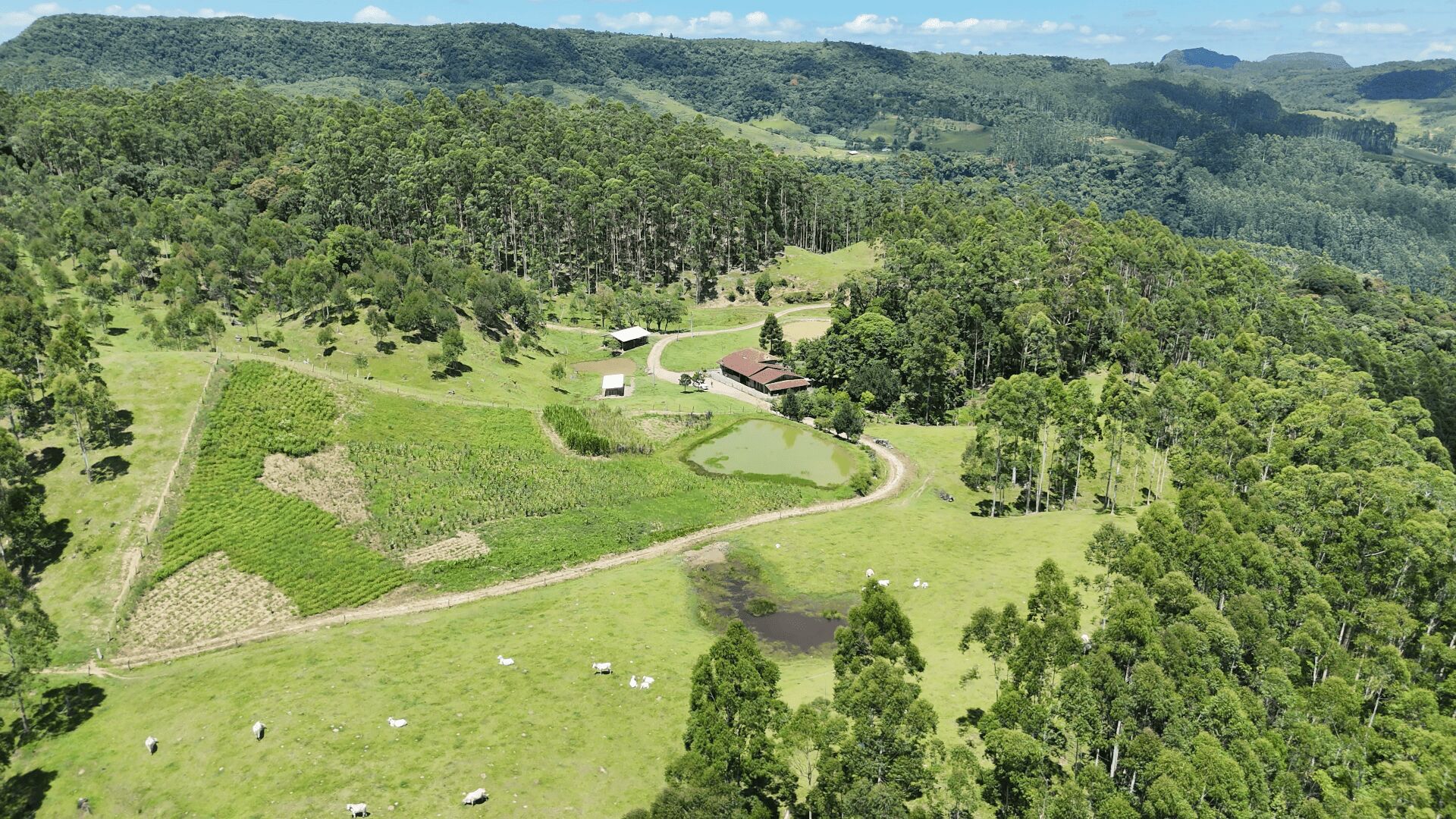 Sítio, 2 quartos, 30 hectares - Foto 1