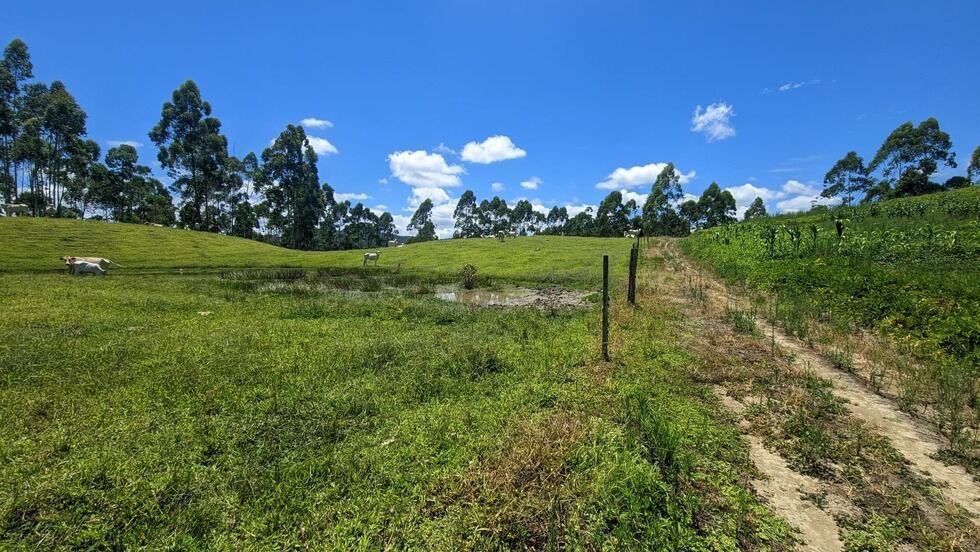 Sítio, 2 quartos, 30 hectares - Foto 16