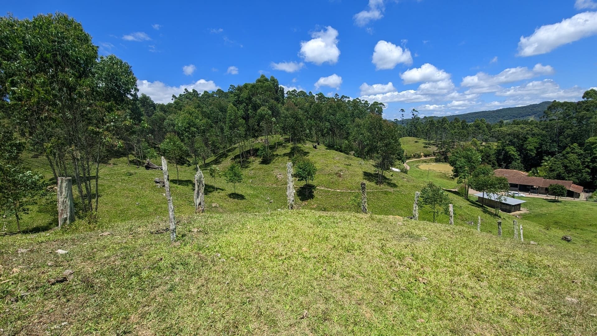 Sítio, 2 quartos, 30 hectares - Foto 11