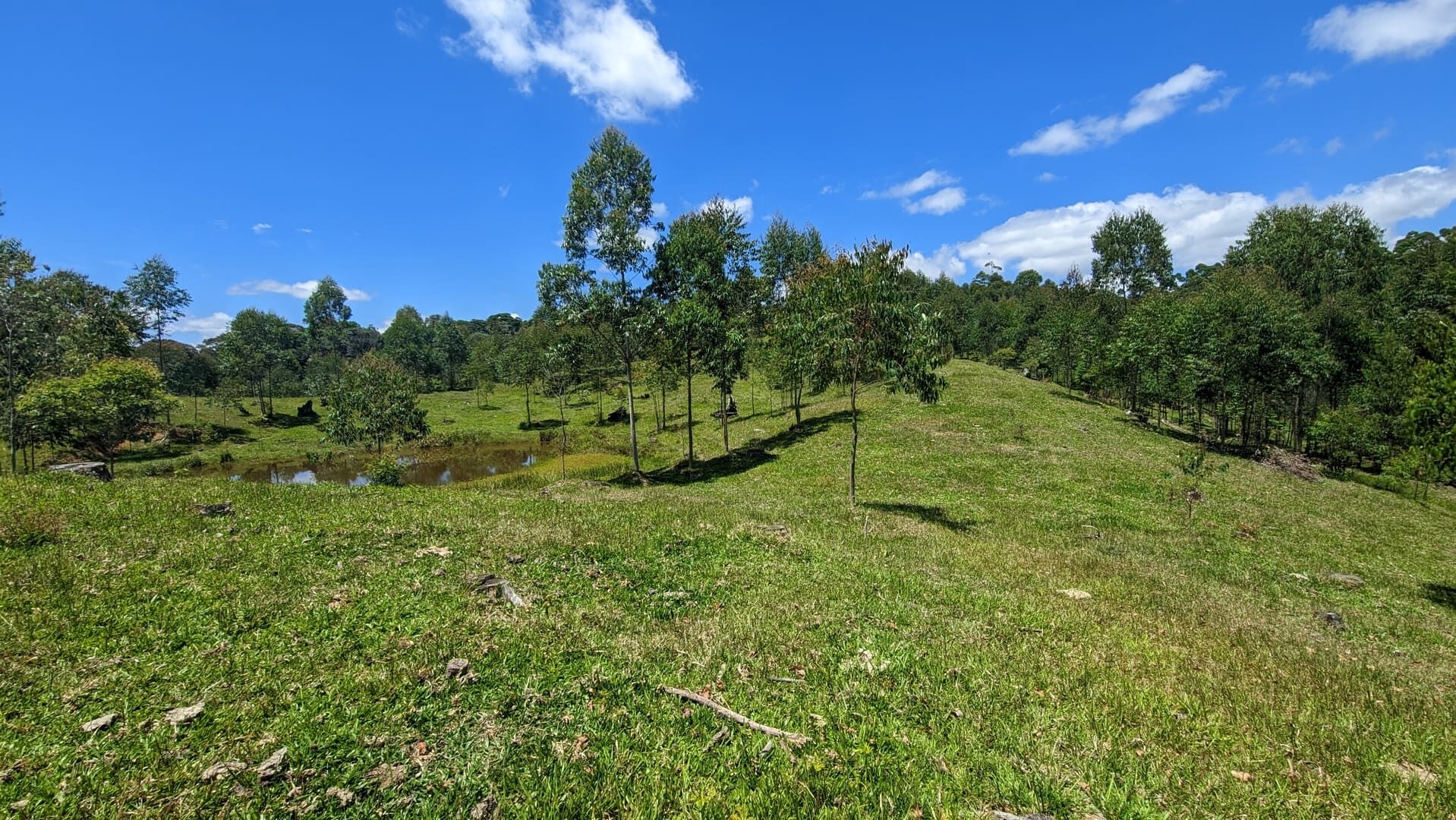 Sítio, 2 quartos, 30 hectares - Foto 12