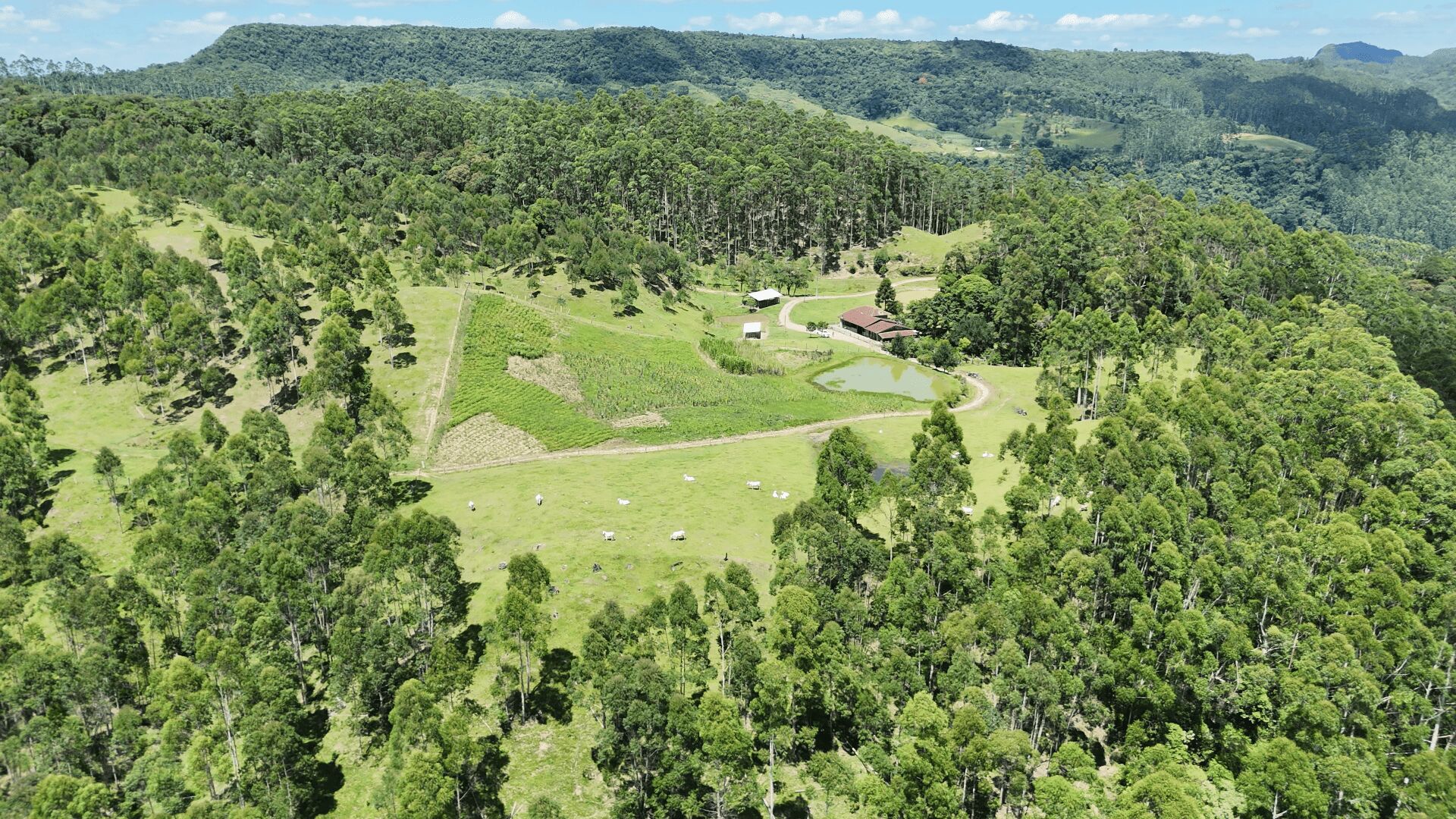 Sítio, 2 quartos, 30 hectares - Foto 3