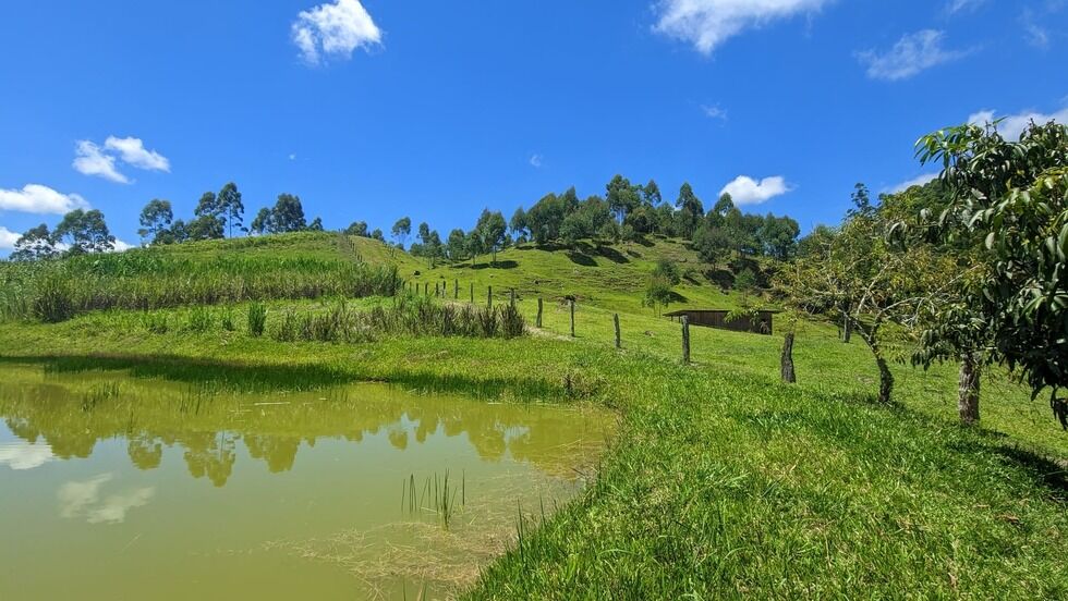 Sítio, 2 quartos, 30 hectares - Foto 11