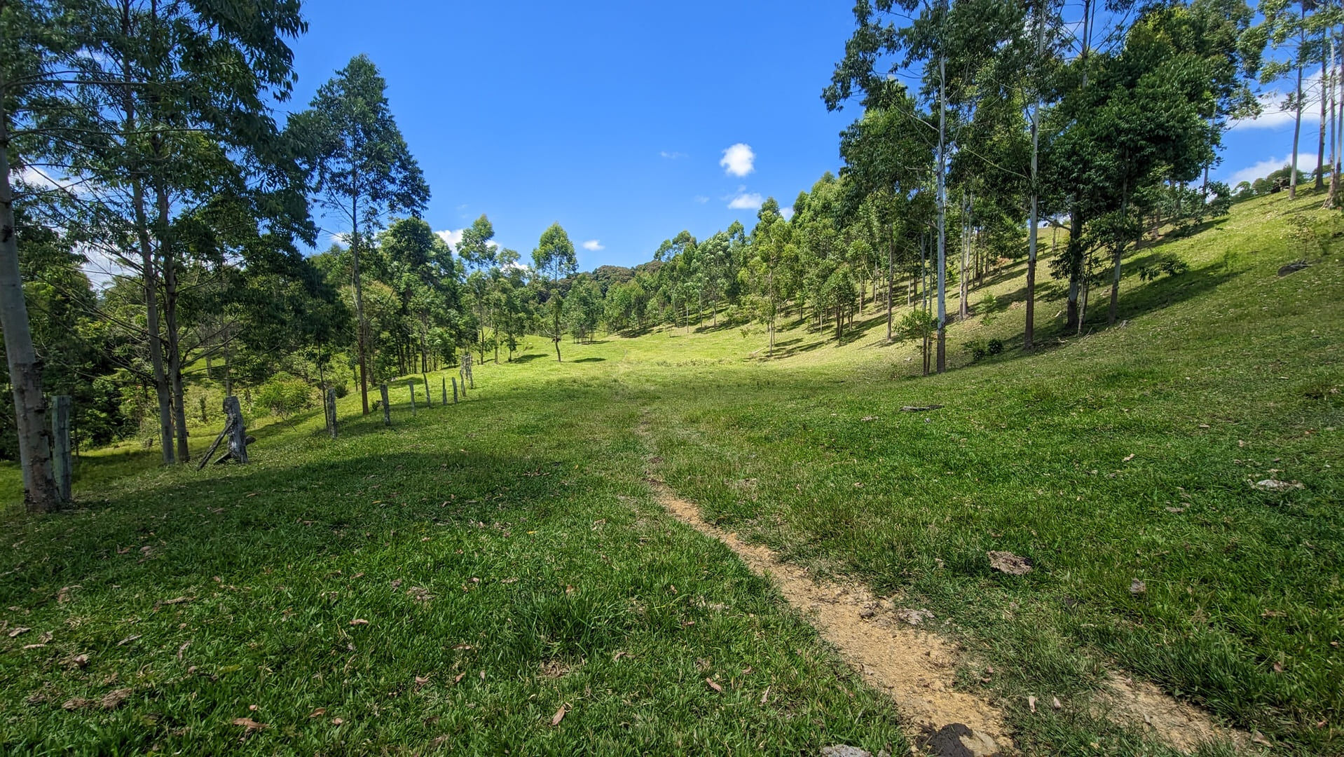Sítio, 2 quartos, 30 hectares - Foto 10