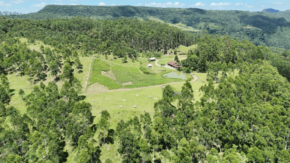 Sítio, 2 quartos, 30 hectares - Foto 4