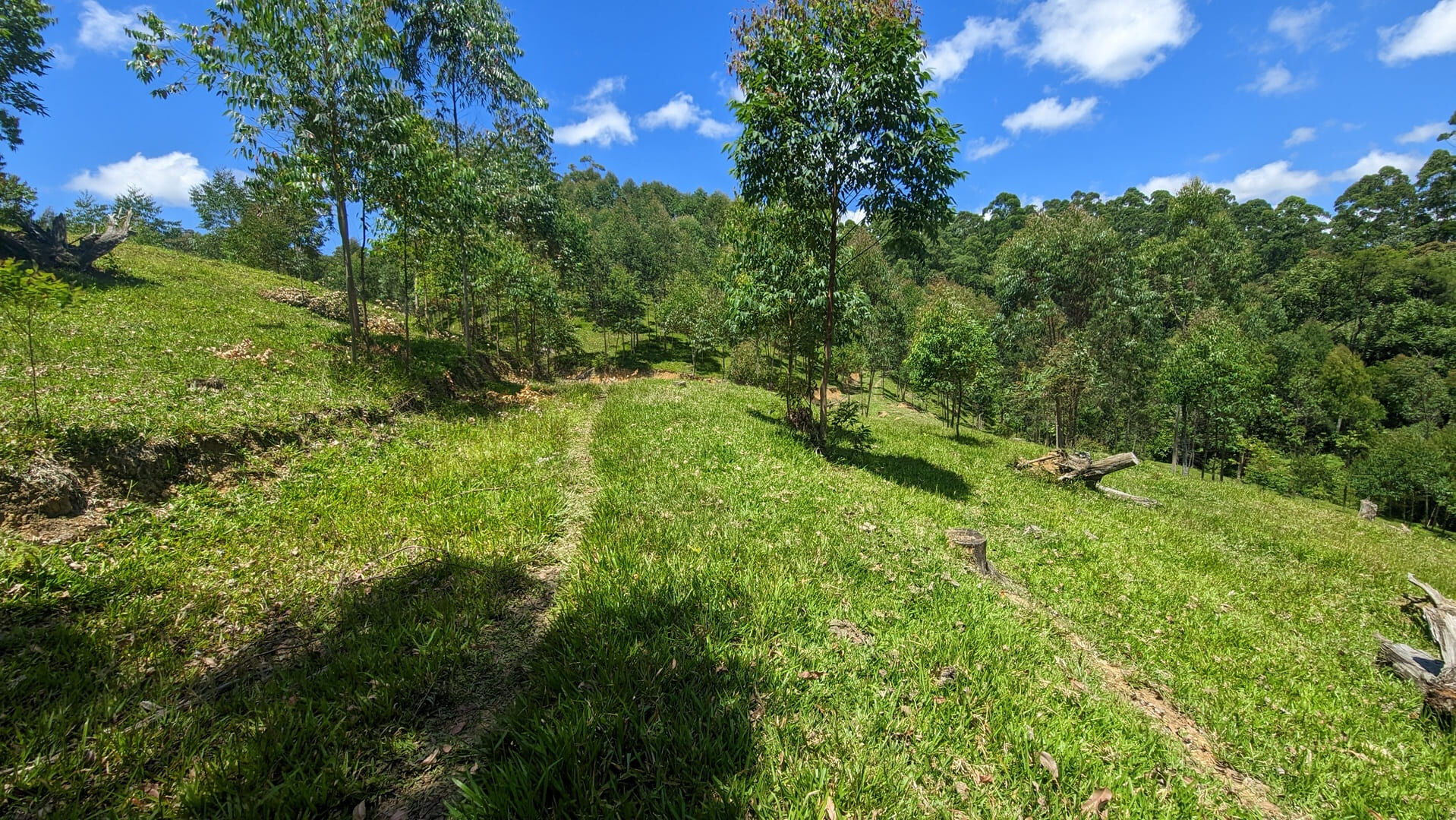 Sítio, 2 quartos, 30 hectares - Foto 13