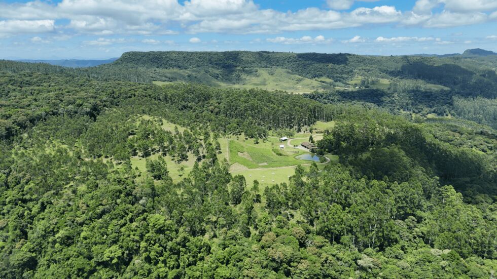 Sítio, 2 quartos, 30 hectares - Foto 7