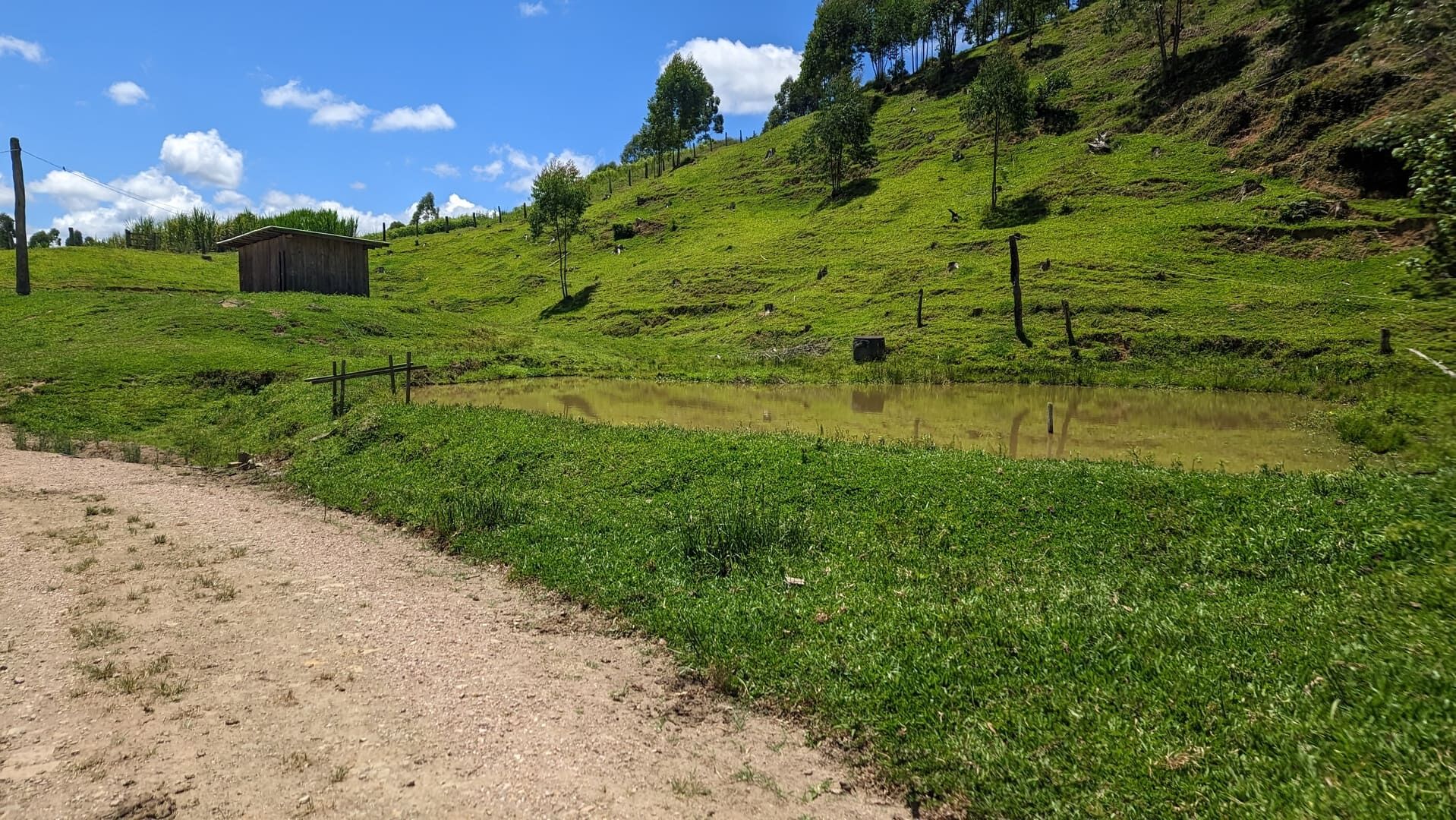 Sítio, 2 quartos, 30 hectares - Foto 15