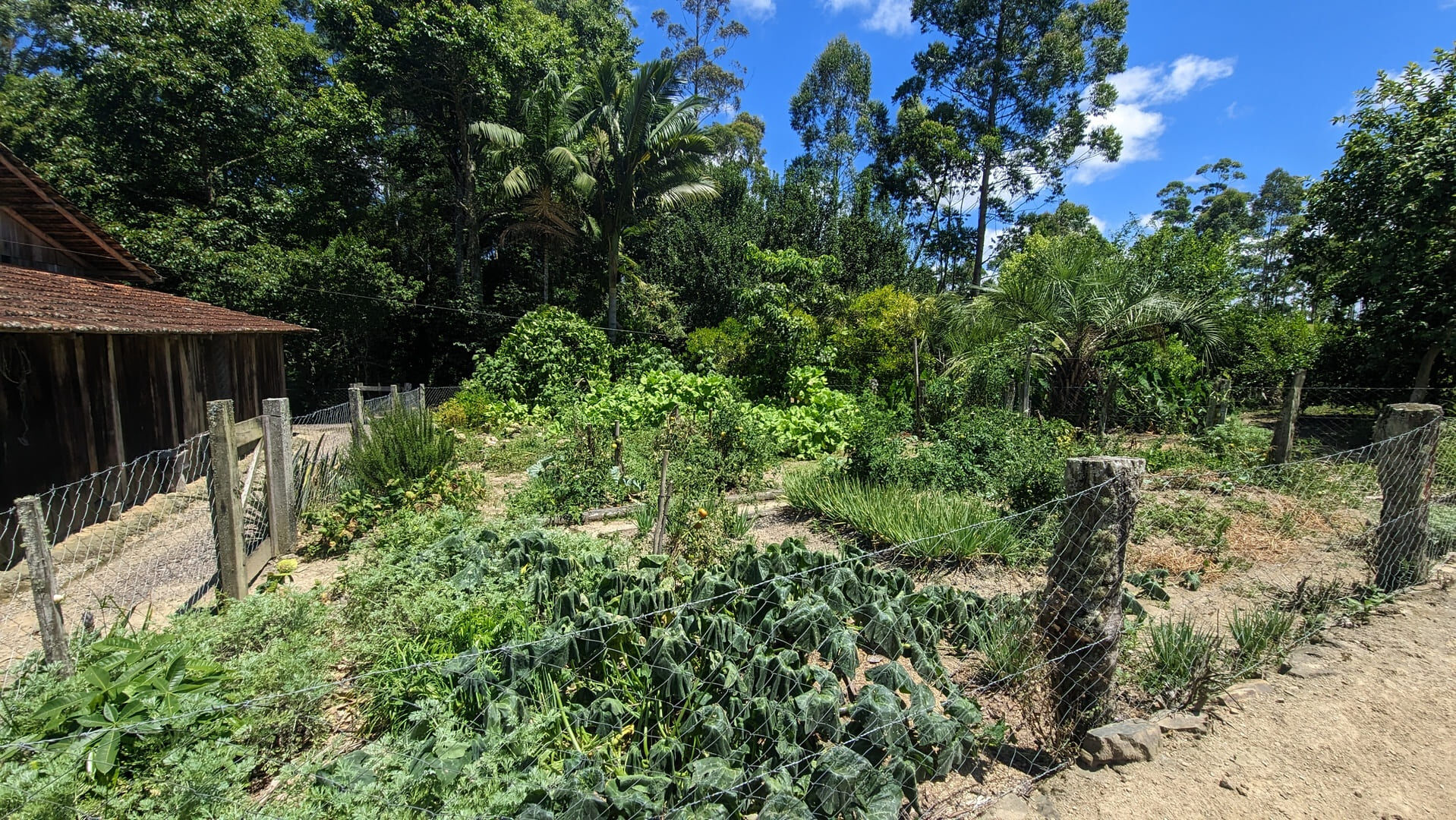 Sítio, 2 quartos, 30 hectares - Foto 7