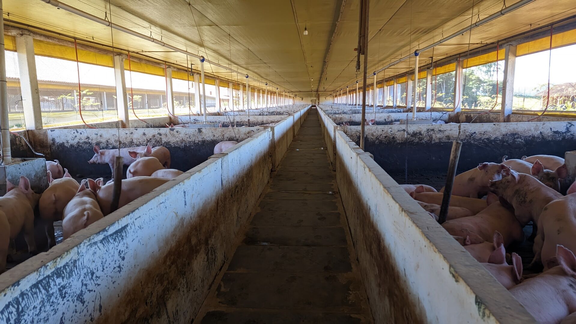 Terreno à venda, 22000m² - Foto 3