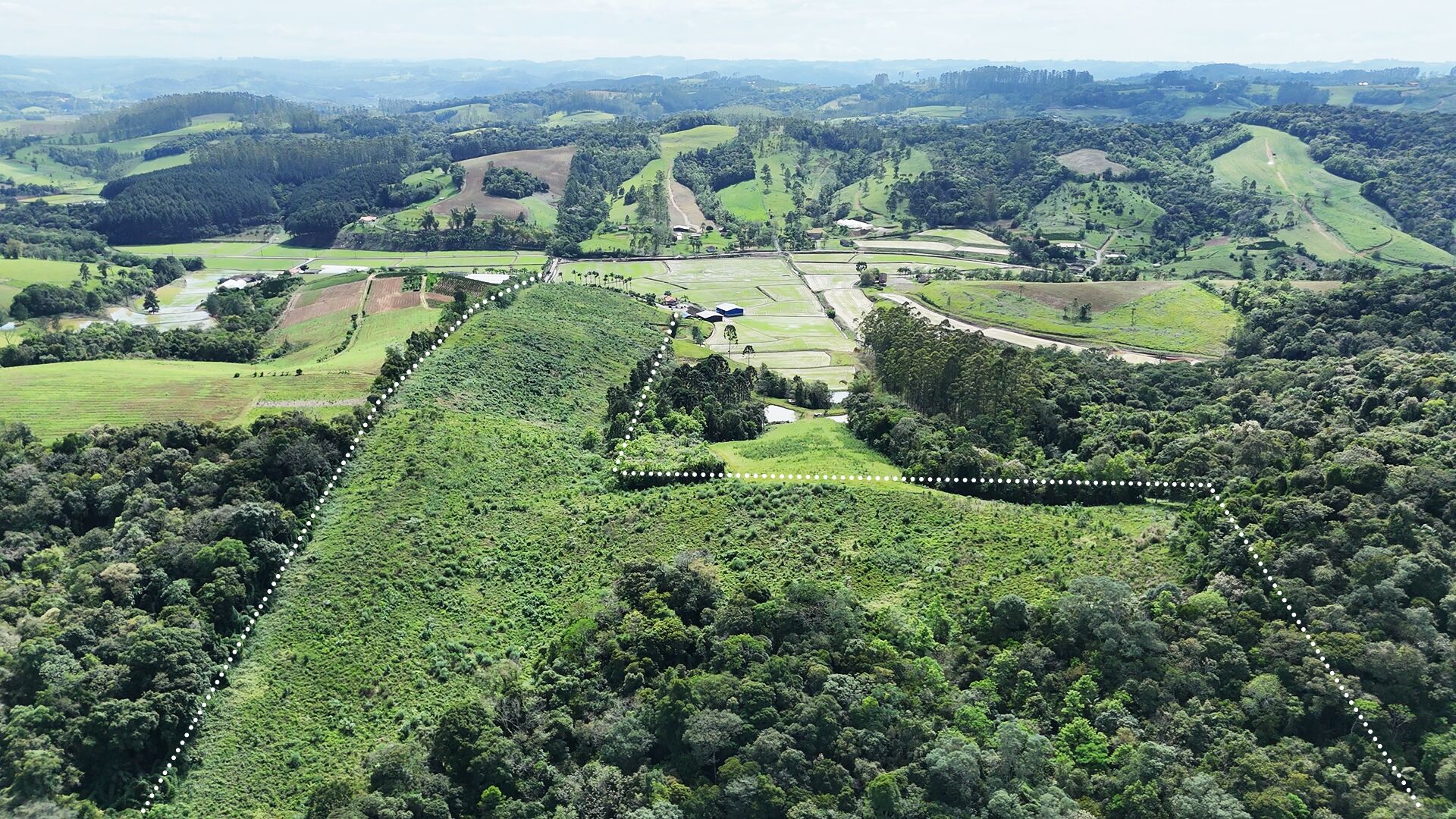 Terreno, 14 hectares - Foto 6