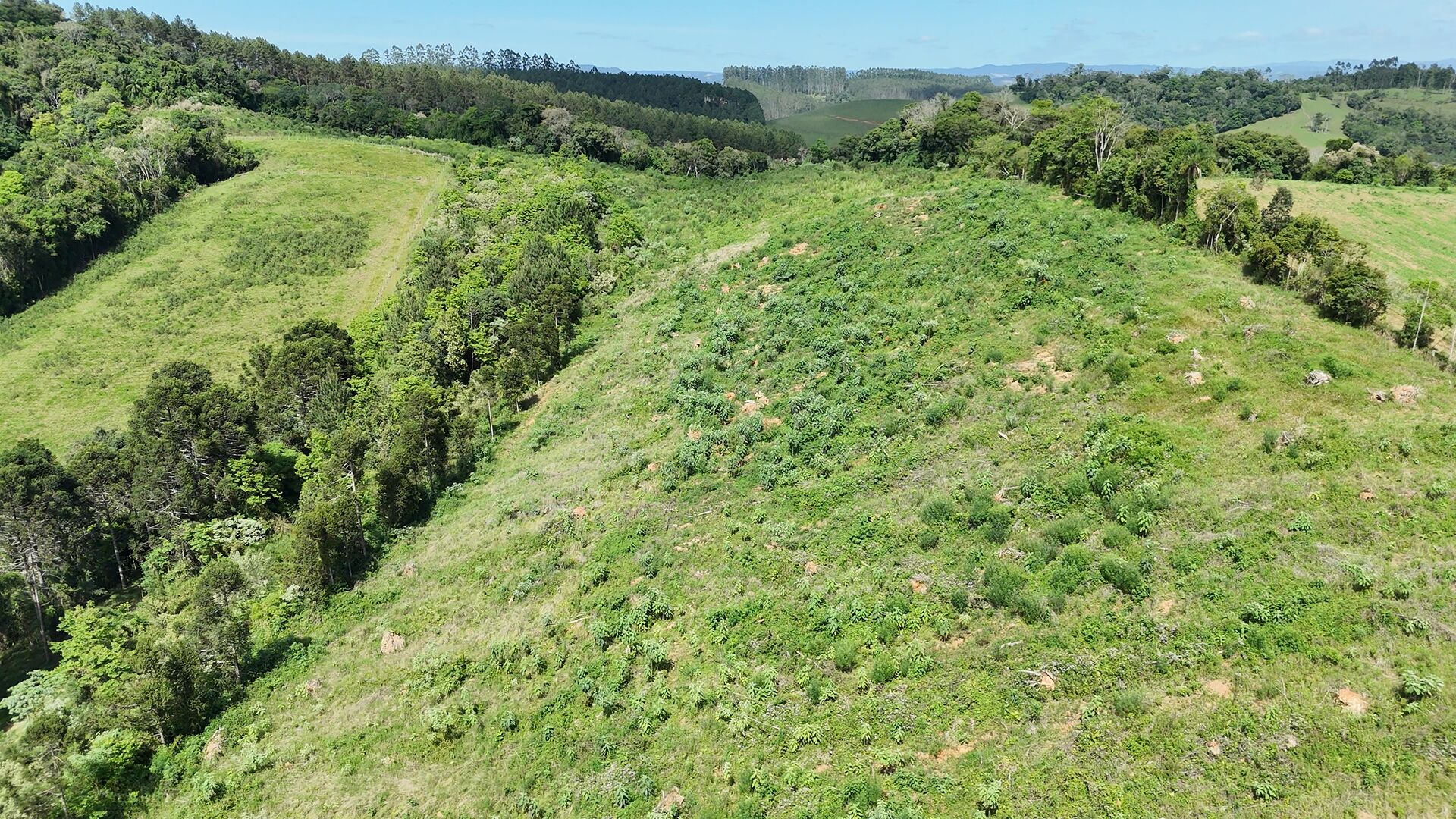 Terreno, 14 hectares - Foto 5