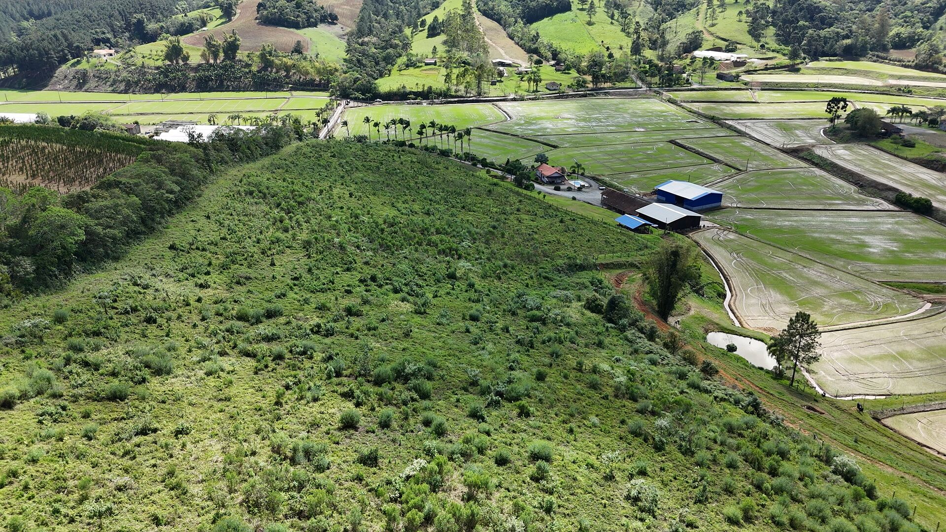 Terreno, 14 hectares - Foto 4