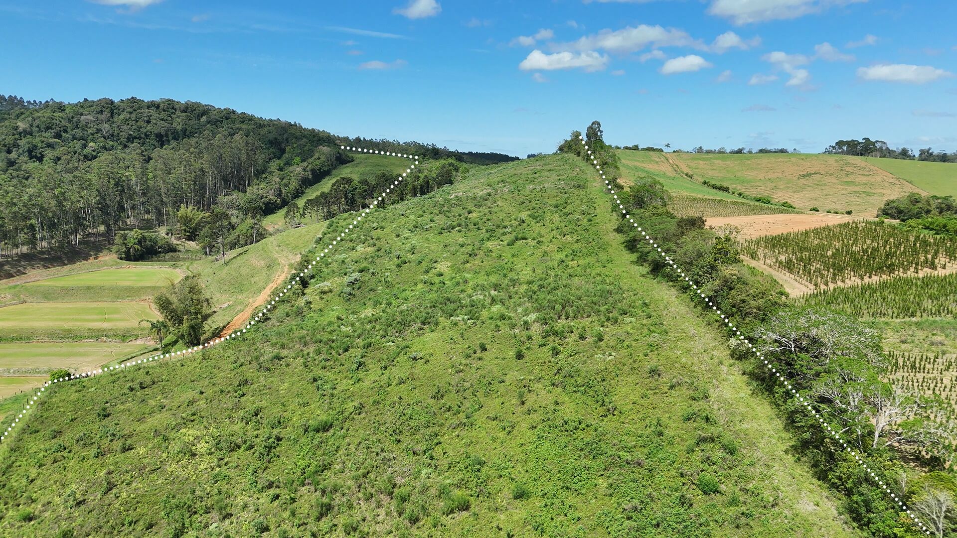 Terreno, 14 hectares - Foto 1