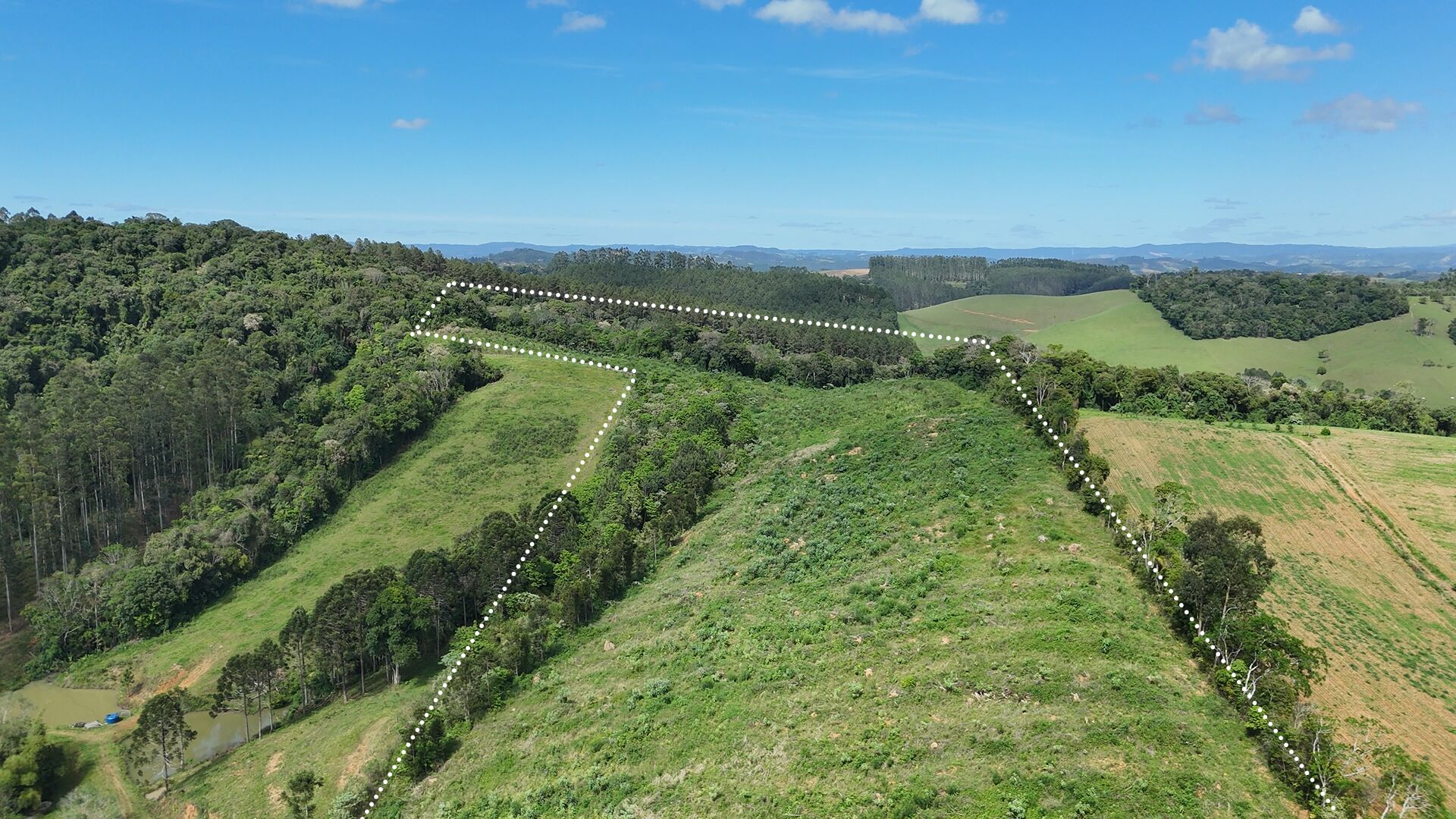 Terreno, 14 hectares - Foto 3