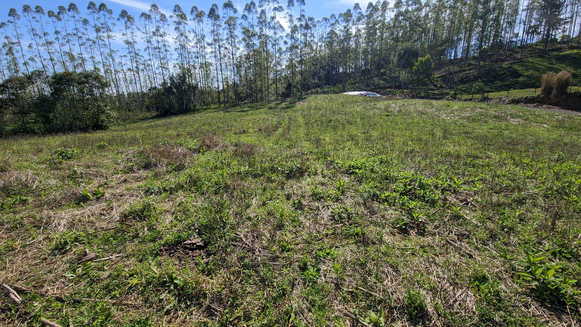 Terreno, 5 hectares - Foto 16