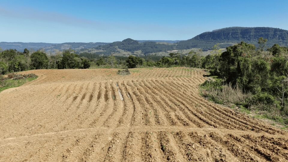 Terreno, 5 hectares - Foto 23