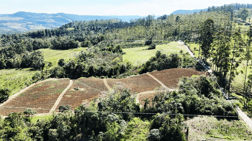 Terreno, 5 hectares - Foto 26