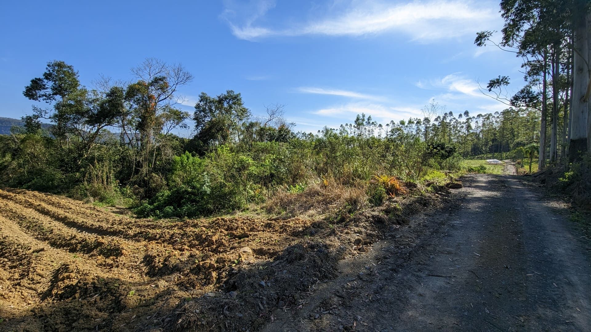 Terreno, 5 hectares - Foto 14