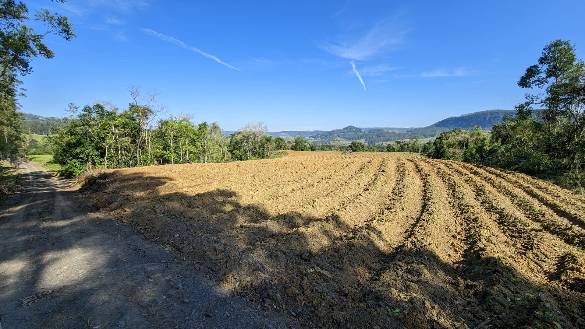 Terreno, 5 hectares - Foto 15