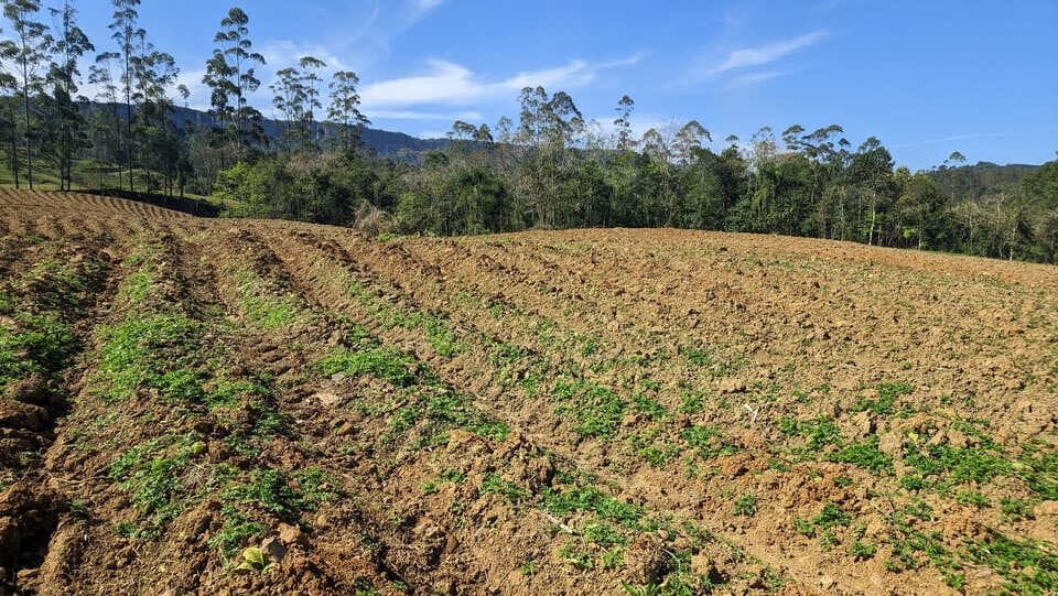 Terreno, 5 hectares - Foto 16