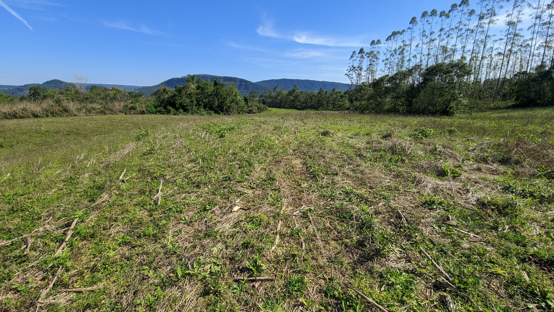 Terreno, 5 hectares - Foto 7