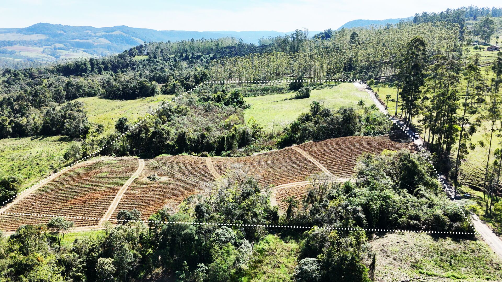 Terreno, 5 hectares - Foto 4