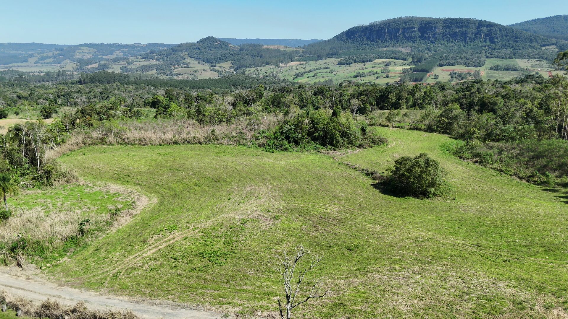 Terreno, 5 hectares - Foto 1