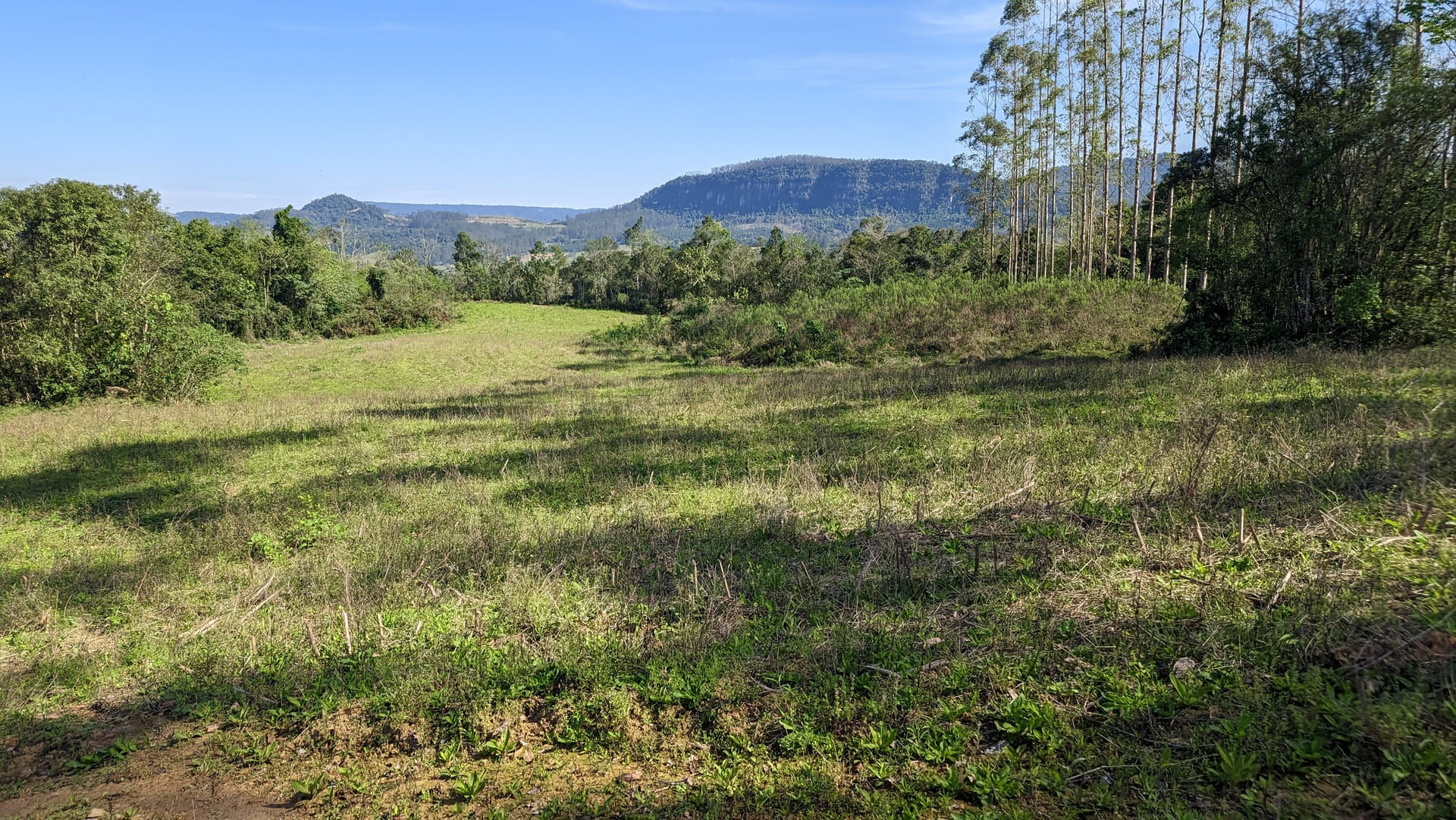 Terreno, 5 hectares - Foto 21