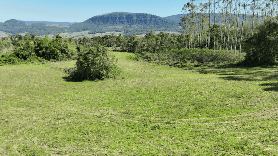Terreno, 5 hectares - Foto 17