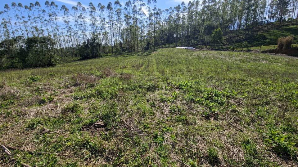 Terreno, 5 hectares - Foto 14