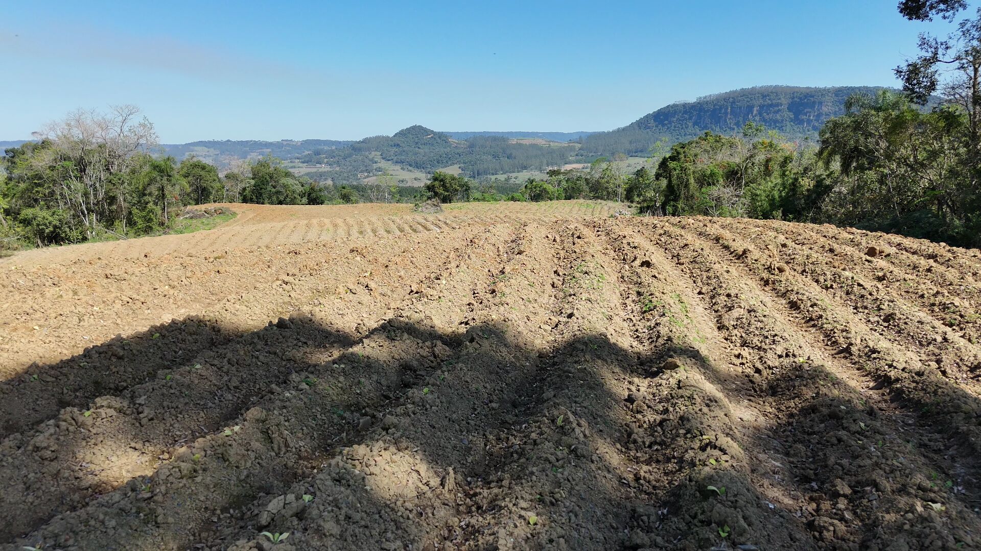 Terreno, 5 hectares - Foto 3