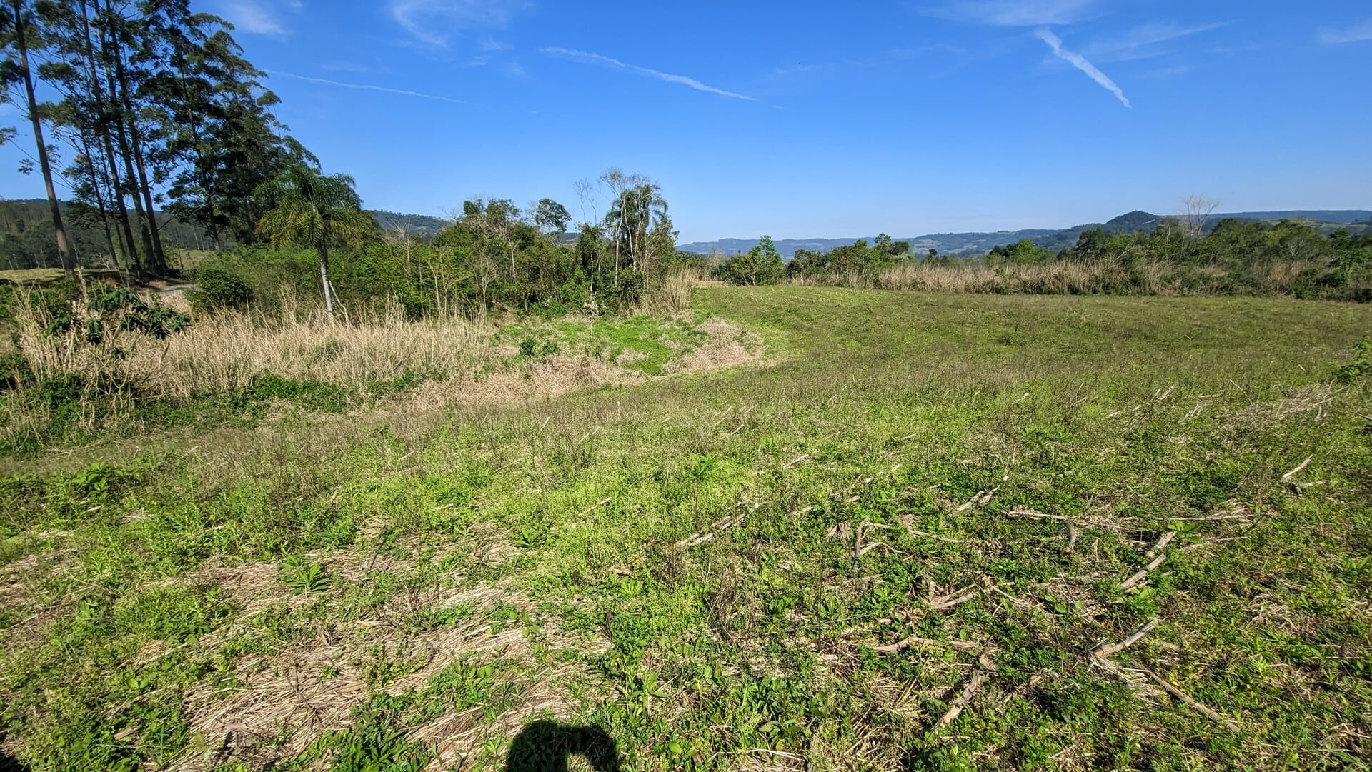 Terreno, 5 hectares - Foto 23