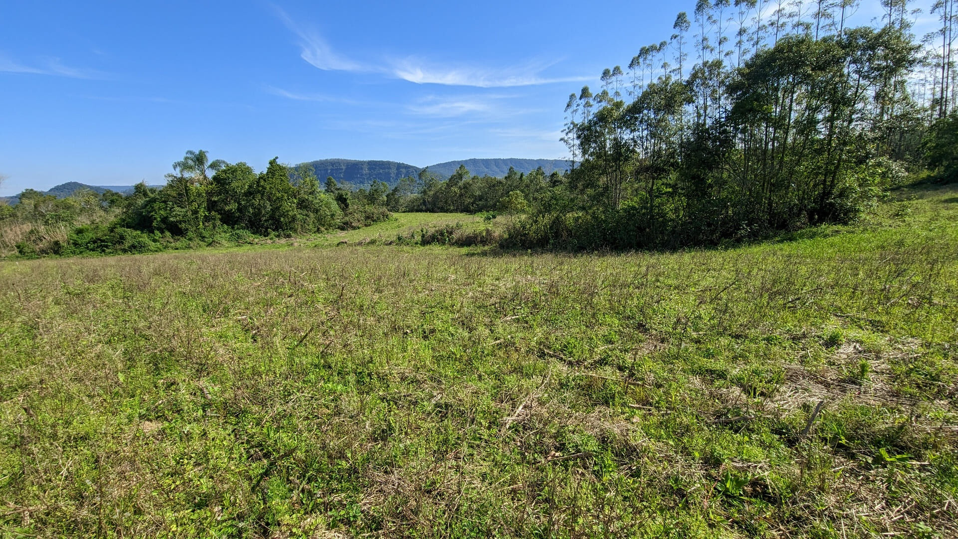 Terreno, 5 hectares - Foto 17