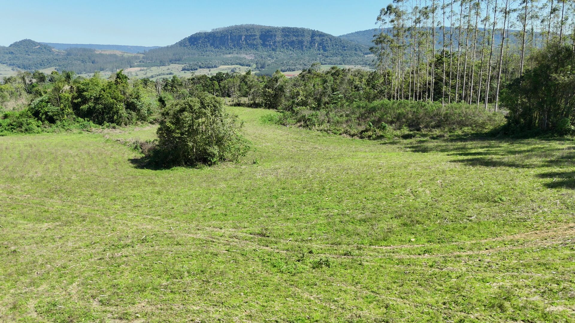 Terreno, 5 hectares - Foto 19