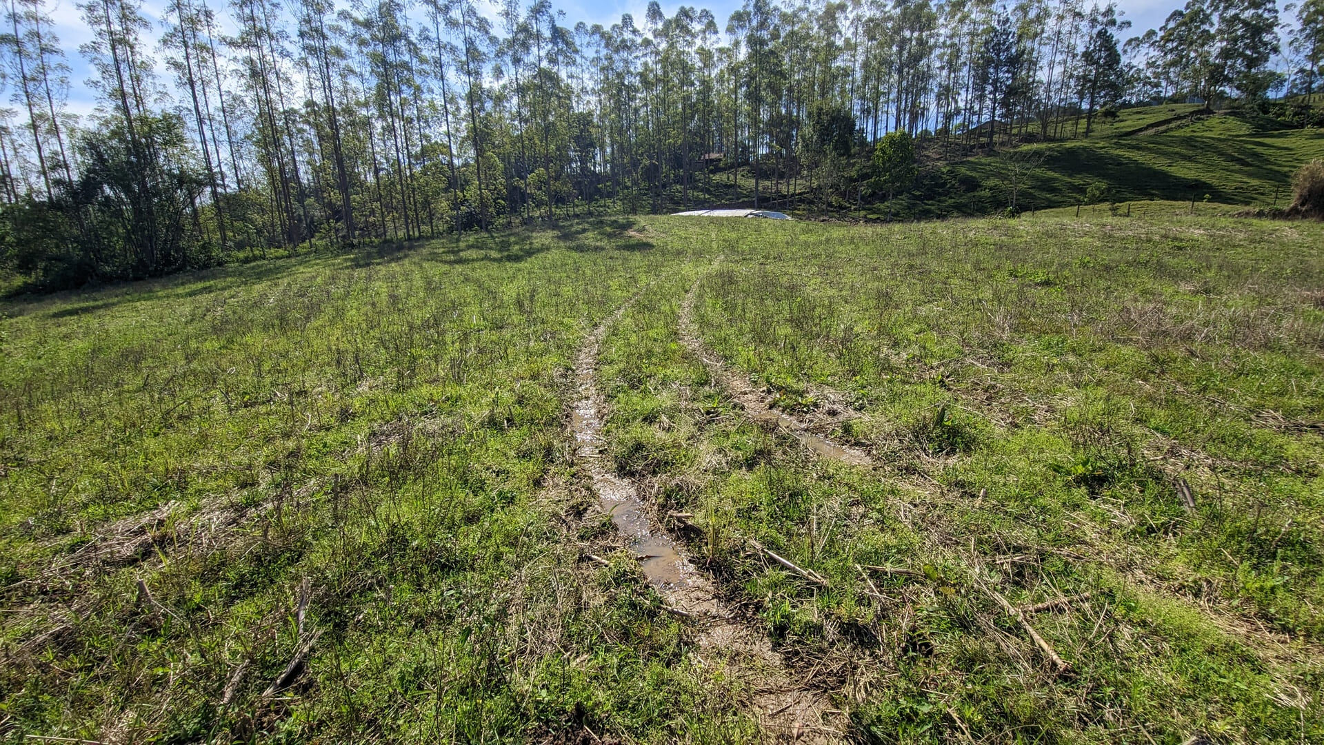 Terreno, 5 hectares - Foto 24