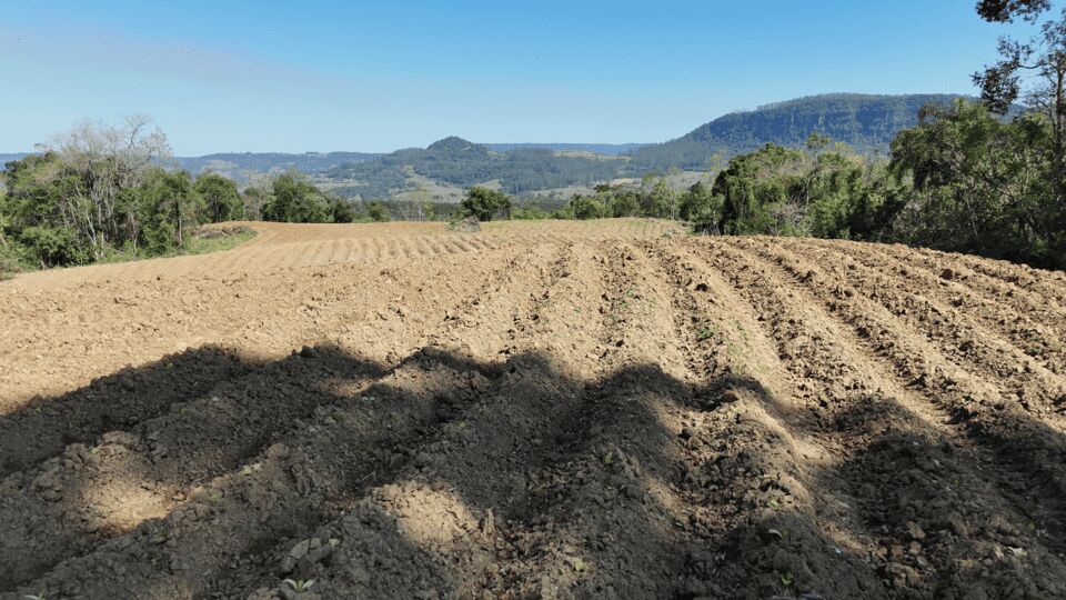 Terreno, 5 hectares - Foto 4