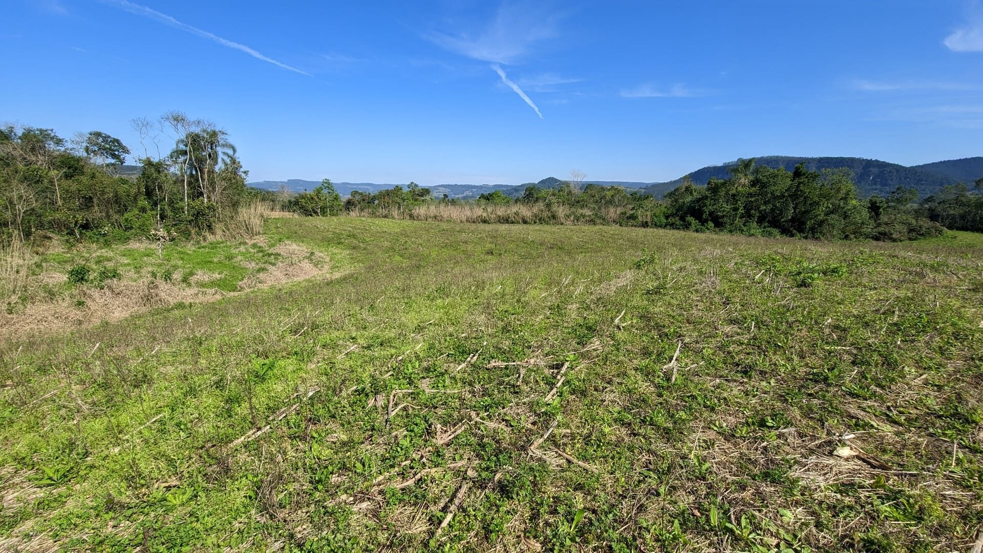 Terreno, 5 hectares - Foto 6