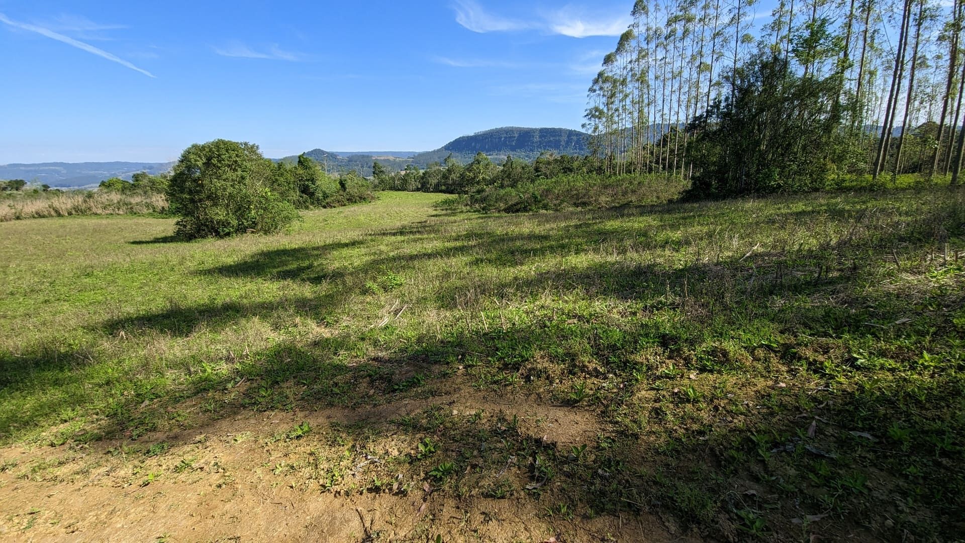 Terreno, 5 hectares - Foto 22