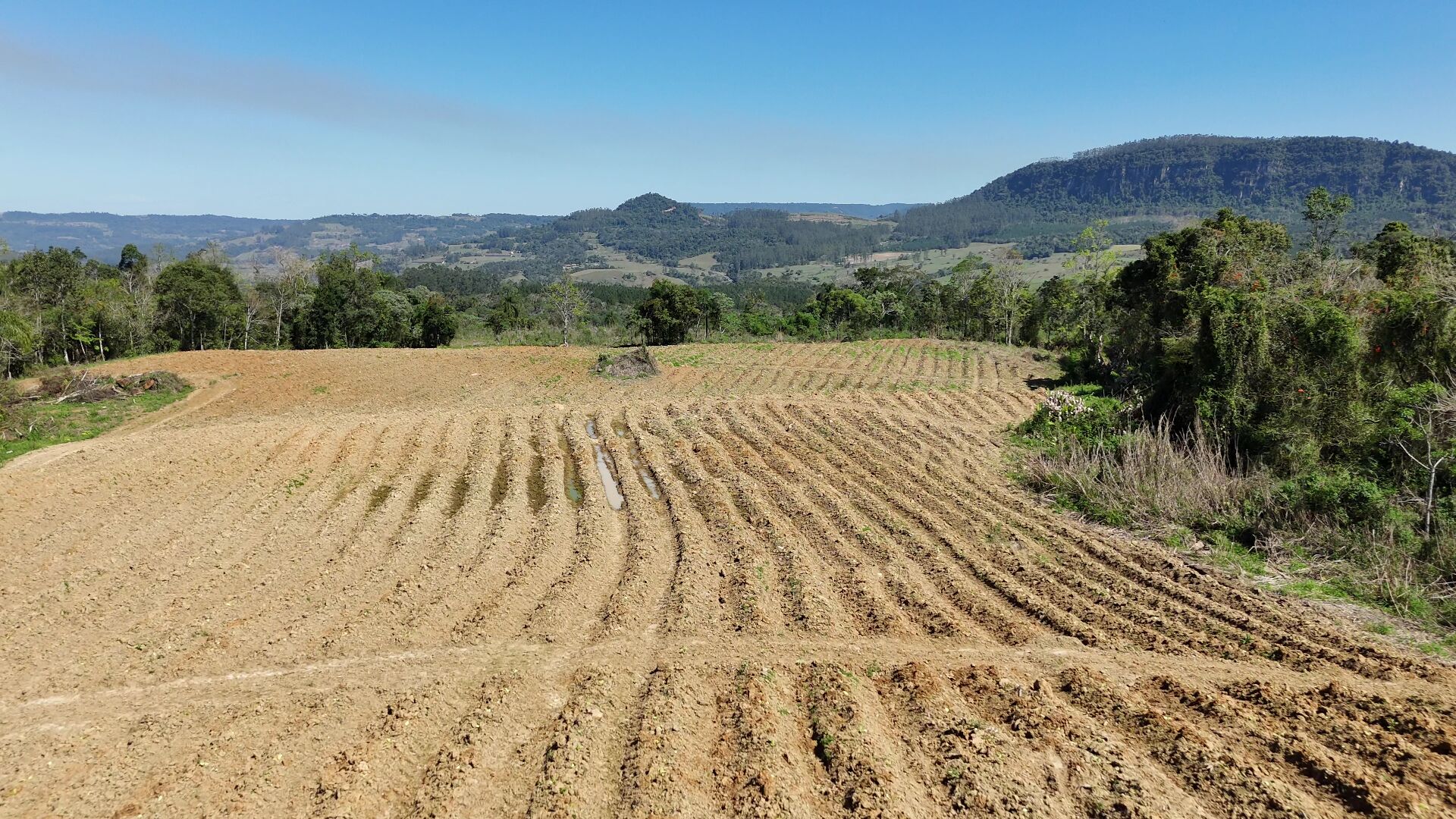 Terreno, 5 hectares - Foto 25